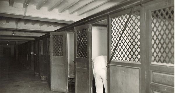 Le patrimoine du second usage