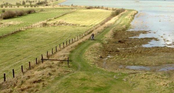 Le renouvellement littoral, de gr&eacute; ou de force