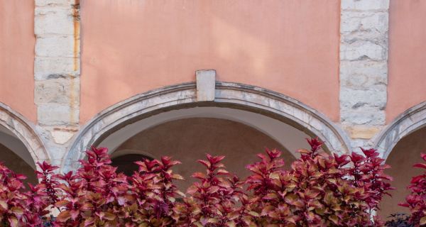 Verdir le Vieux-Lyon ?