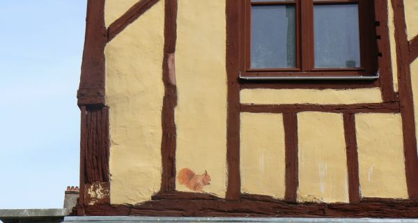 R&eacute;novation de maisons &agrave; pans de bois : isolation par l&rsquo;int&eacute;rieur en b&eacute;ton de chanvre