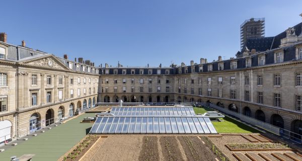 L&rsquo;&eacute;cologie &eacute;clot sur les toits de Paris ; un pas de plus vers l&rsquo;agriculture urbaine