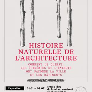 Histoire naturelle de l’architecture (bis)
